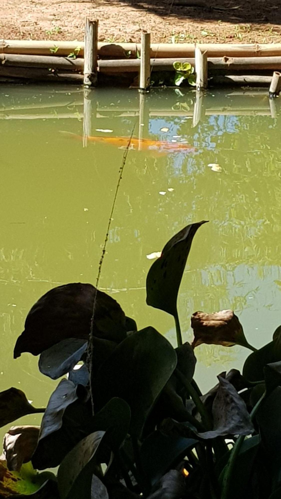 Chales Magia Das Aguas Águas de Lindóia Bagian luar foto