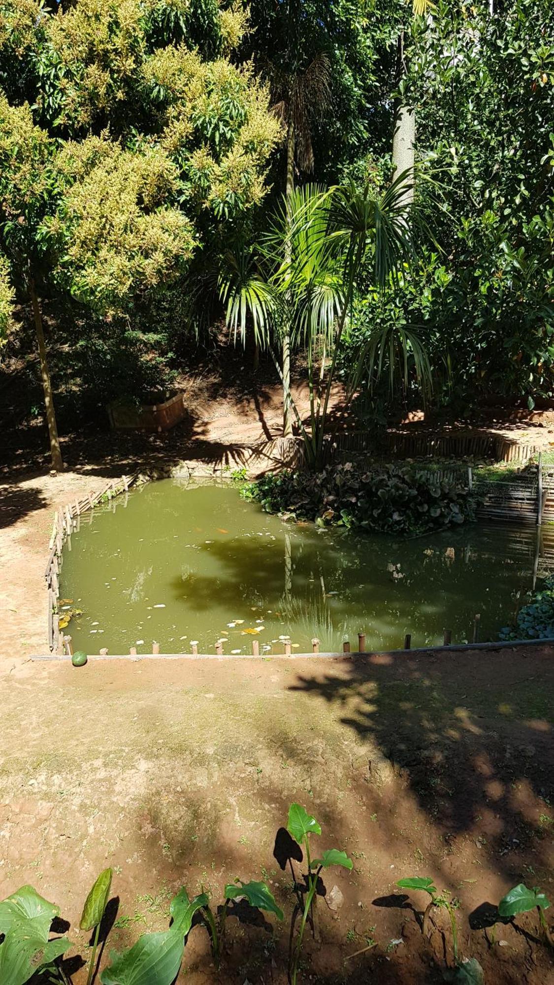 Chales Magia Das Aguas Águas de Lindóia Bagian luar foto