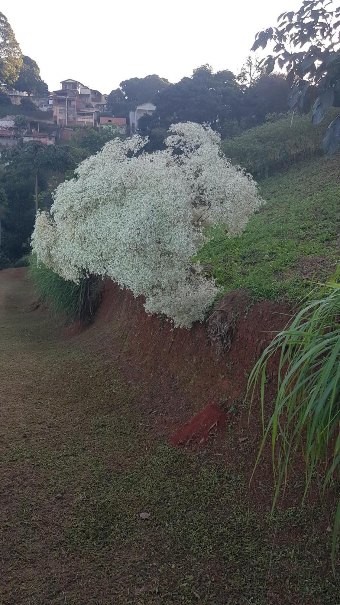 Chales Magia Das Aguas Águas de Lindóia Bagian luar foto